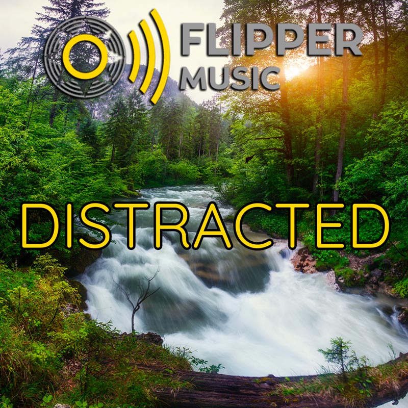 Distracted Playlist