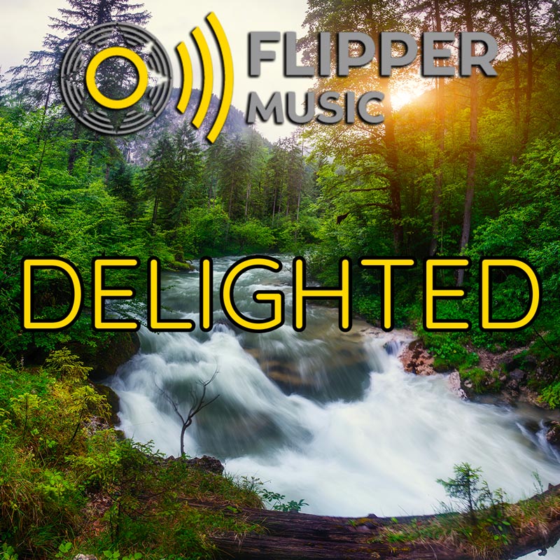 Delighted Playlist