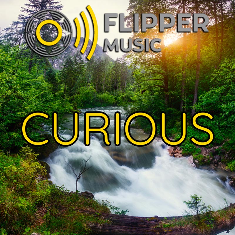 Curious Playlist