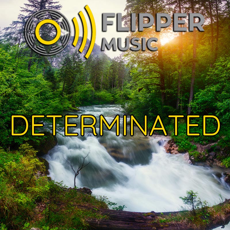Determinated Playlist