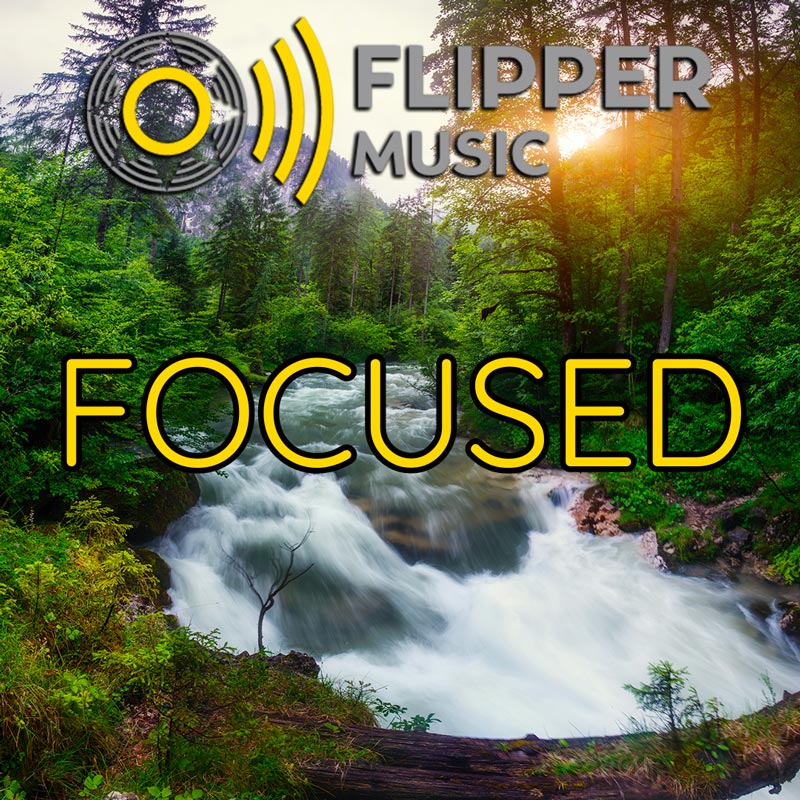 Focused Playlist
