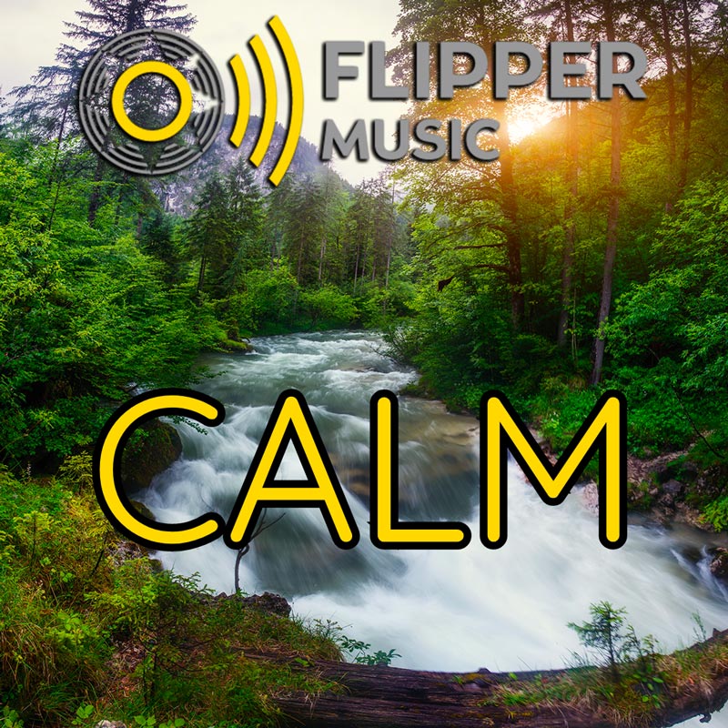 Calm playlist