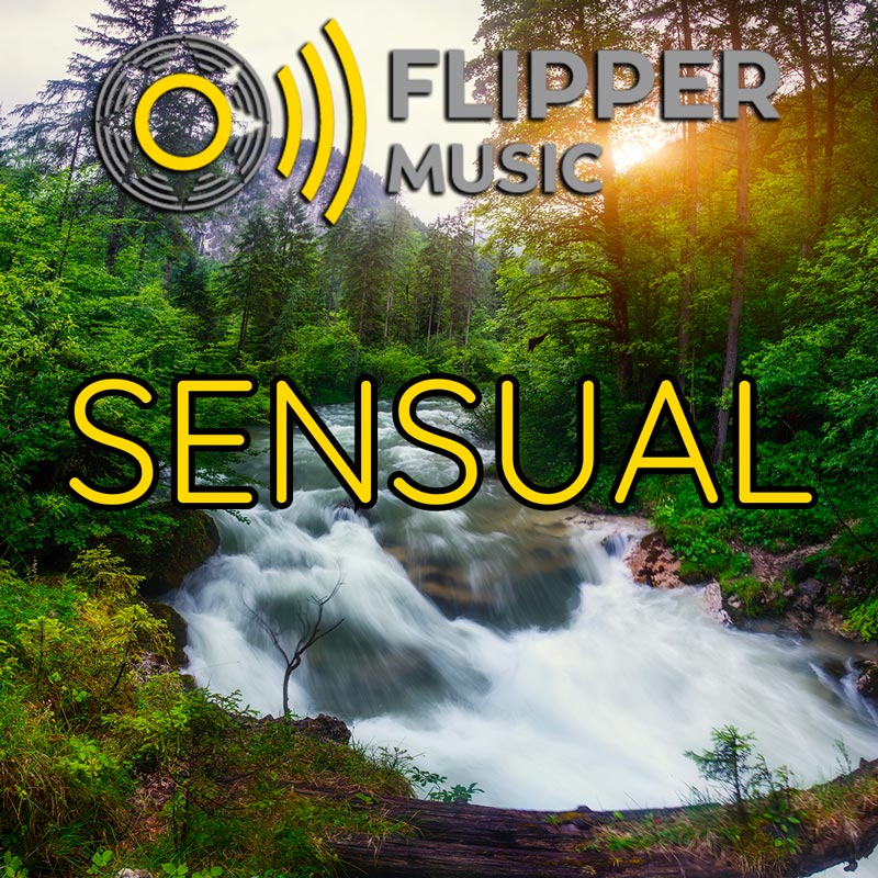 Sensual Playlist