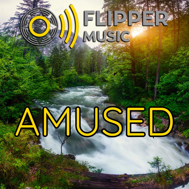Amused Playlist